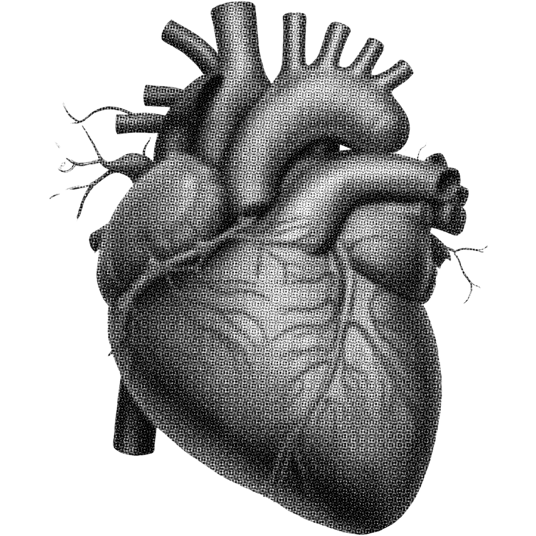 Redacción Documentos Institucionales